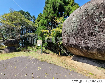 野田の奇石　川平農村公園の巨石群　桜の咲く頃　野田町　出水市　鹿児島県 103465214