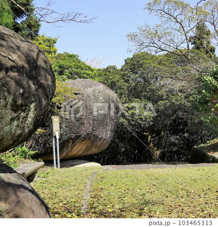 野田の奇石 川平農村公園の巨石群 桜の咲く頃 野田町 出水市 鹿児島県 野田の奇石 川平農村公園の巨石群 桜の咲く頃 野田町 出水市 鹿児島県 103465313