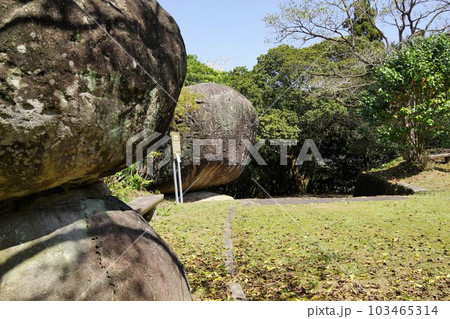 野田の奇石 川平農村公園の巨石群 桜の咲く頃 野田町 出水市 鹿児島県 野田の奇石 川平農村公園の巨石群 桜の咲く頃 野田町 出水市 鹿児島県 103465314