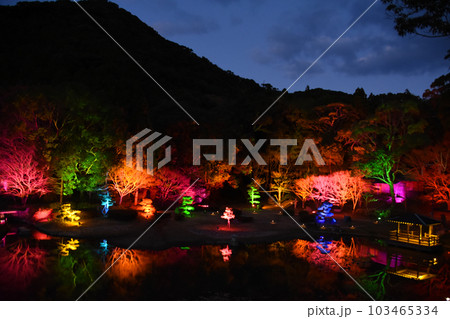 熊本・牛深の美しい日本庭園イルミネーション 103465334