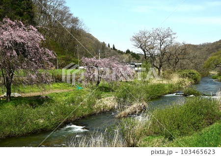 米内川沿いの山田線 米内川沿いの山田線 103465623