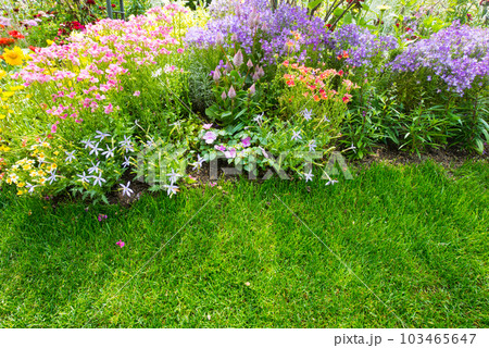 《神戸市》山間部に位置する植物園 布引ハーブ園/ 103465647
