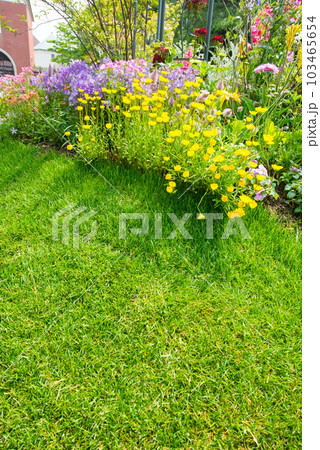 《神戸市》山間部に位置する植物園 布引ハーブ園/ 103465654