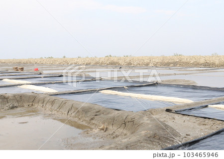 raw salt farm plot with water and polythene bed 103465946