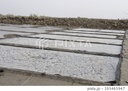 raw salt farm plot with water and polythene bed 103465947