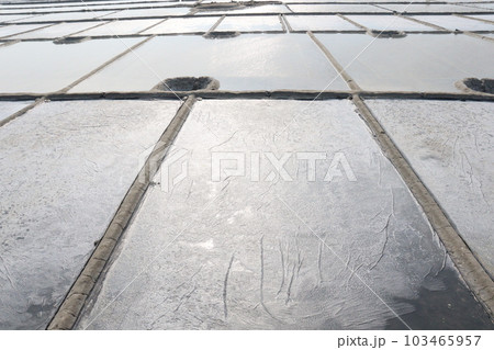raw salt farm plot with water and polythene bed 103465957