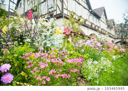 《神戸市》山間部に位置する植物園 布引ハーブ園/ 《神戸市》山間部に位置する植物園 布引ハーブ園/ 103465995