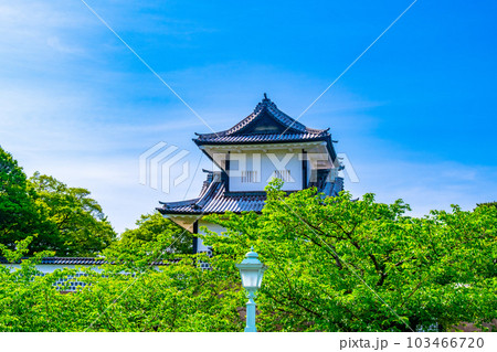 新緑の金沢城公園 石川櫓 103466720