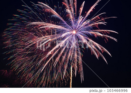 夜空を飾る大花火（夏イメージ） 103466996