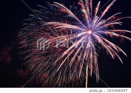 夜空を飾る大花火（夏イメージ） 103466997