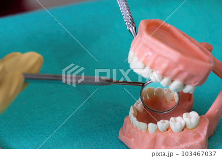 dental instruments ready for use in the dental office 103467037