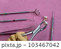 dental instruments ready for use in the dental office 103467042