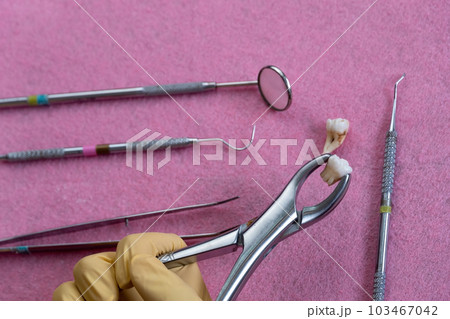 dental instruments ready for use in the dental office 103467042