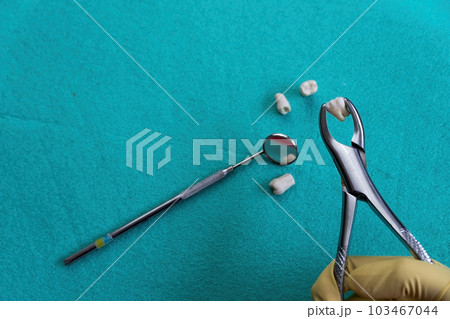 dental instruments ready for use in the dental office dental instruments ready for use in the dental office 103467044