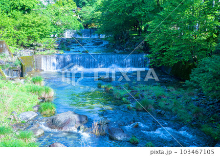 大芦川　古峯神社付近　新緑の風景　鹿沼市　 103467105