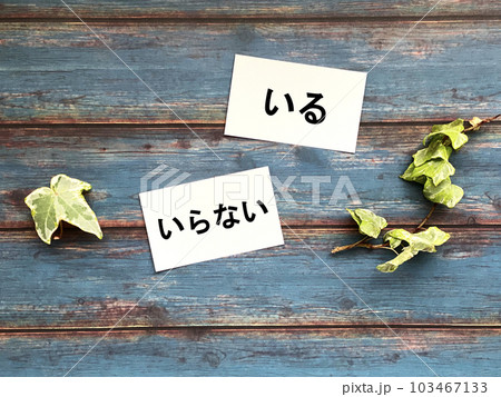 いるといらないの文字入り2枚の白いカード_青板背景 103467133
