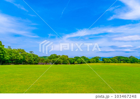 金沢城公園の新丸広場 103467248