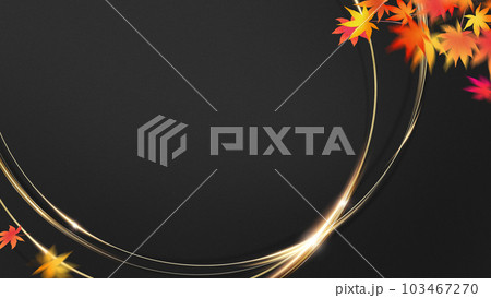 秋の和風フレーム素材 秋の和風フレーム素材 103467270