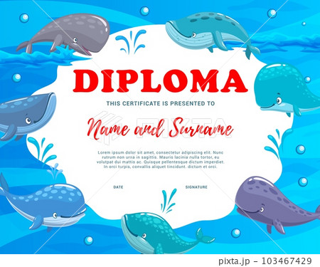 Kids diploma. Cartoon cachalots, blue and sperm whales. Kids achievement certificate, school appreciation vector award or competition winner diploma template with ocean sperm whales funny personages Kids diploma. Cartoon cachalots, blue and sperm whales. Kids achievement certificate, school appreciation vector award or competition winner diploma template with ocean sperm whales funny personages 103467429
