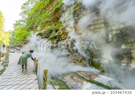 小安峡大噴湯　春　新緑 103467438