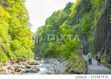 小安峡大噴湯 春 新緑 小安峡大噴湯 春 新緑 103467439