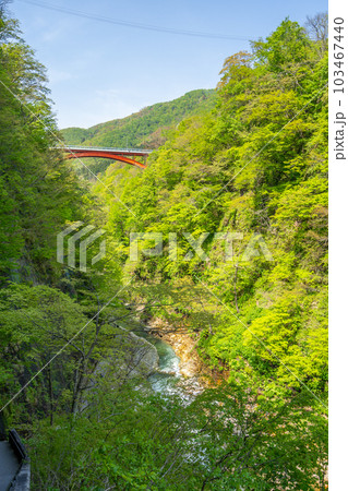 小安峡大噴湯　春　新緑 103467440