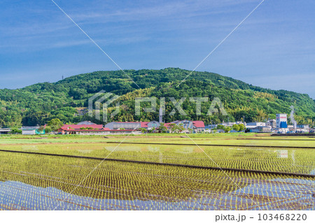 【静岡県】田植え後の丹那盆地の水田と酪農王国オラッチェ 【静岡県】田植え後の丹那盆地の水田と酪農王国オラッチェ 103468220