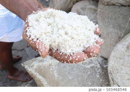 raw salt on hand on farm 103468546