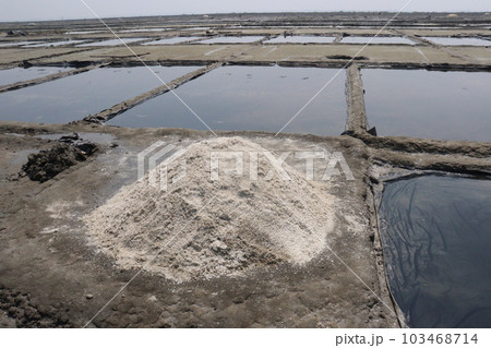 raw salt farm on plot with polythene bed 103468714
