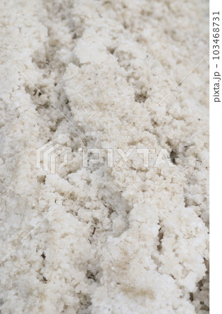 raw salt farm on plot with polythene bed raw salt farm on plot with polythene bed 103468731