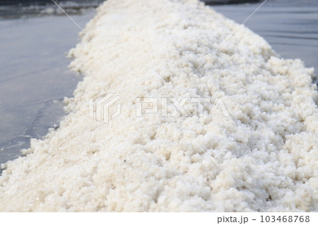 raw salt farm on plot with polythene bed raw salt farm on plot with polythene bed 103468768