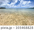 沖縄県石垣島の吉原海岸の波打ち際の風景 103468828