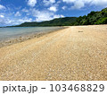 沖縄県石垣島の吉原海岸の波打ち際の風景 103468829