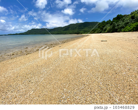 沖縄県石垣島の吉原海岸の波打ち際の風景 沖縄県石垣島の吉原海岸の波打ち際の風景 103468829