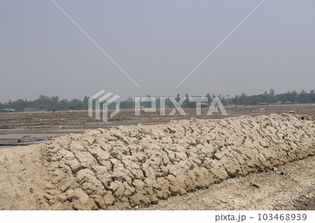raw salt farm on plot with polythene bed 103468939