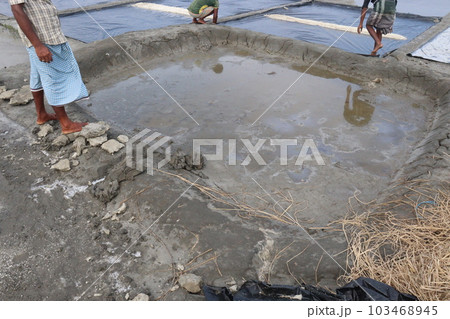 raw salt farm on plot with polythene bed raw salt farm on plot with polythene bed 103468945