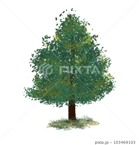 My Tree 103469103