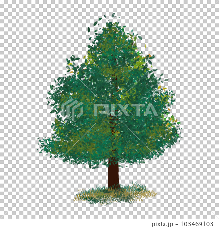 My Tree 103469103