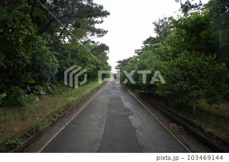 木々に囲まれた直線の一本道 103469144