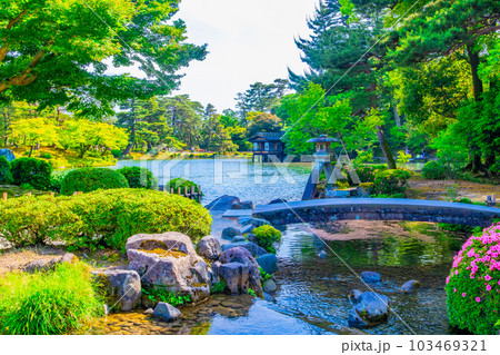 新緑の兼六園 103469321
