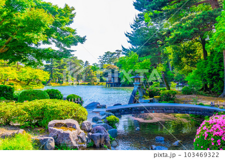 新緑の兼六園 103469322