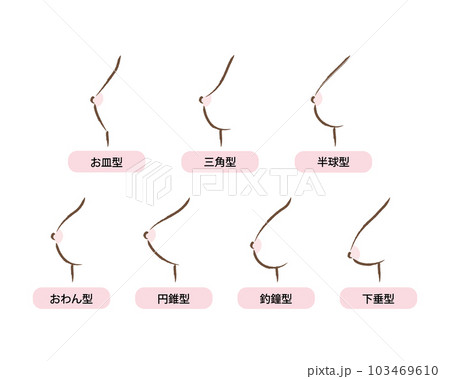 女性のバスト・乳房の形の種類のイラスト 女性のバスト・乳房の形の種類のイラスト 103469610