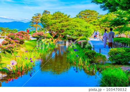 新緑の兼六園と曲水 103470032