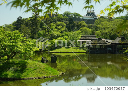 初夏の彦根城 玄宮園 (2022年4月) 初夏の彦根城 玄宮園 (2022年4月) 103470037