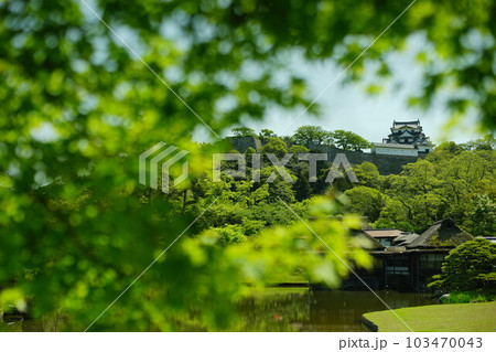 初夏の彦根城 玄宮園 (2022年4月) 初夏の彦根城 玄宮園 (2022年4月) 103470043