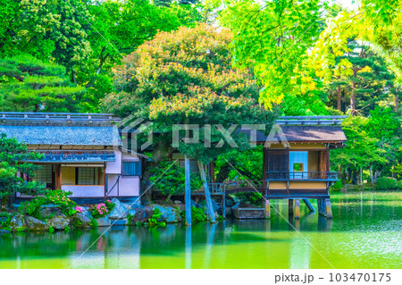 新緑の兼六園と内橋亭 103470175