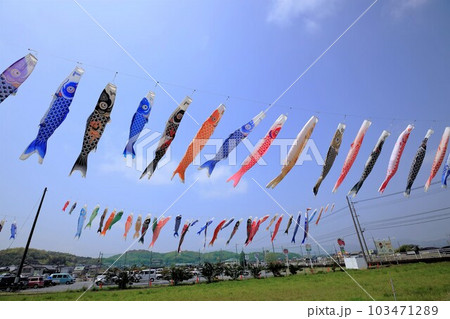 大空に力強く舞うこいのぼり 大空に力強く舞うこいのぼり 103471289