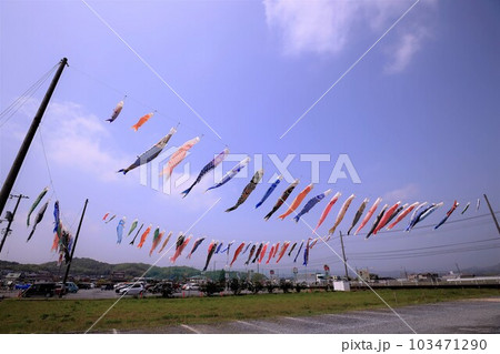 大空に力強く舞うこいのぼり 大空に力強く舞うこいのぼり 103471290