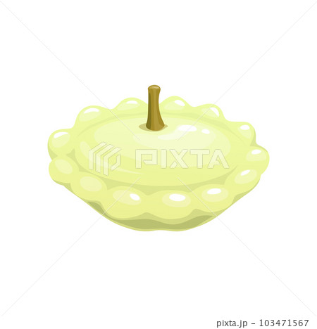 Cartoon raw squash vegetable, vector farm veggie food. White summer squash with dried stem and scalloped edges. Ripe pattypan or patisson, isolated fresh vegetable of agriculture crop plant Cartoon raw squash vegetable, vector farm veggie food. White summer squash with dried stem and scalloped edges. Ripe pattypan or patisson, isolated fresh vegetable of agriculture crop plant 103471567