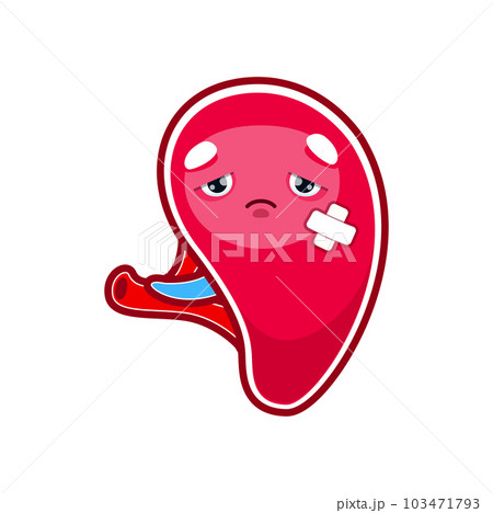 Cartoon sick spleen character, injured unhealthy human organ, isolated vector. Sad spleen with medical patch, body digestion system disease or unhealthy illness and infection of spleen organ Cartoon sick spleen character, injured unhealthy human organ, isolated vector. Sad spleen with medical patch, body digestion system disease or unhealthy illness and infection of spleen organ 103471793